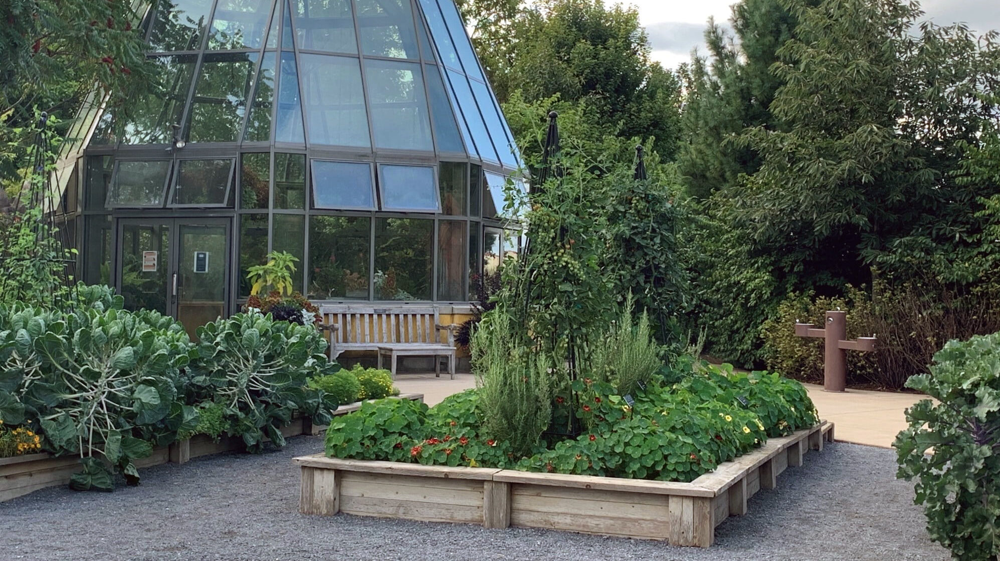 The harvest gardens at The Arboretum at Penn State