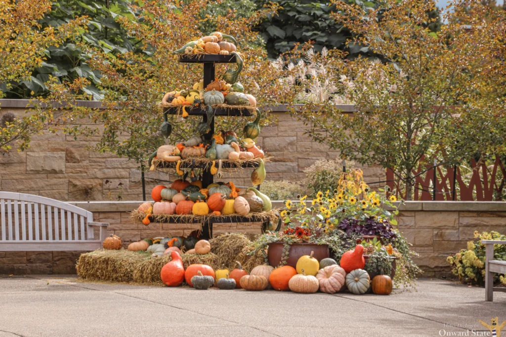 Gourd display at the Arboretum