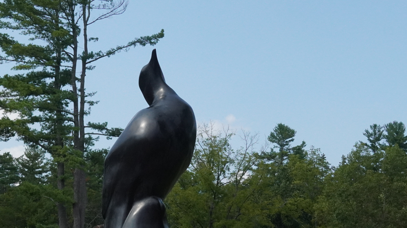 Lost Bird Project sculpture