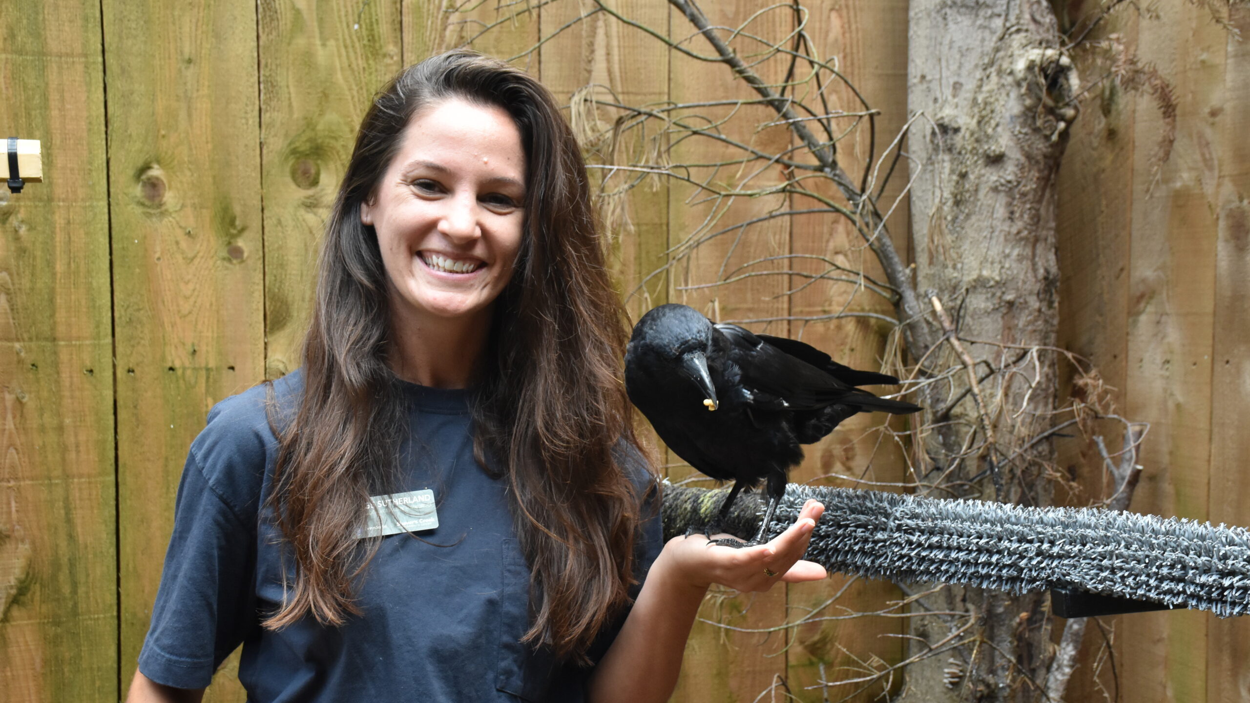 Paige with Lenny the American Crow