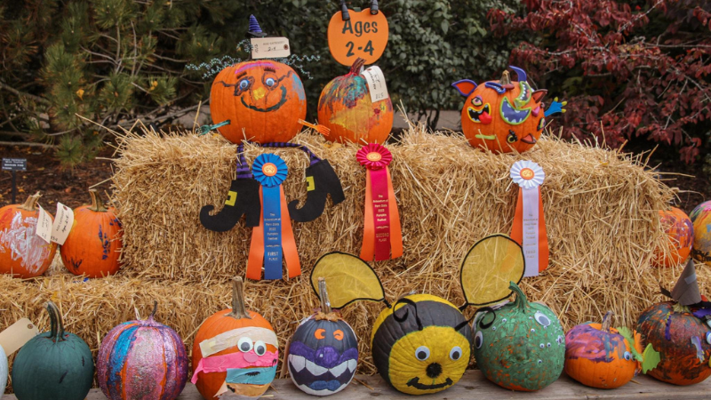 Pumpkin Festival Entries