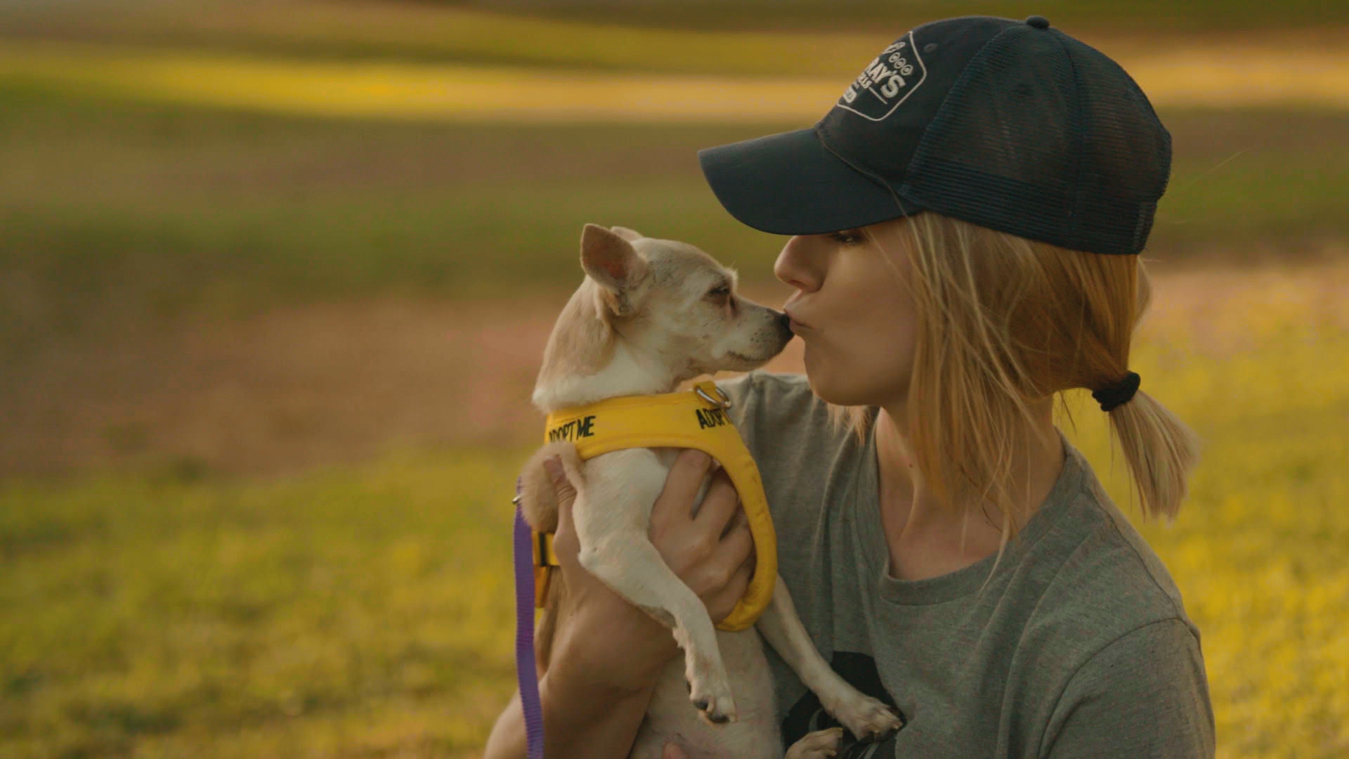 Animal rescuer kissing dog on the nose