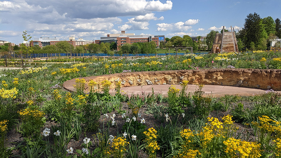 A view of the Pollinator and Bird Garden during construction