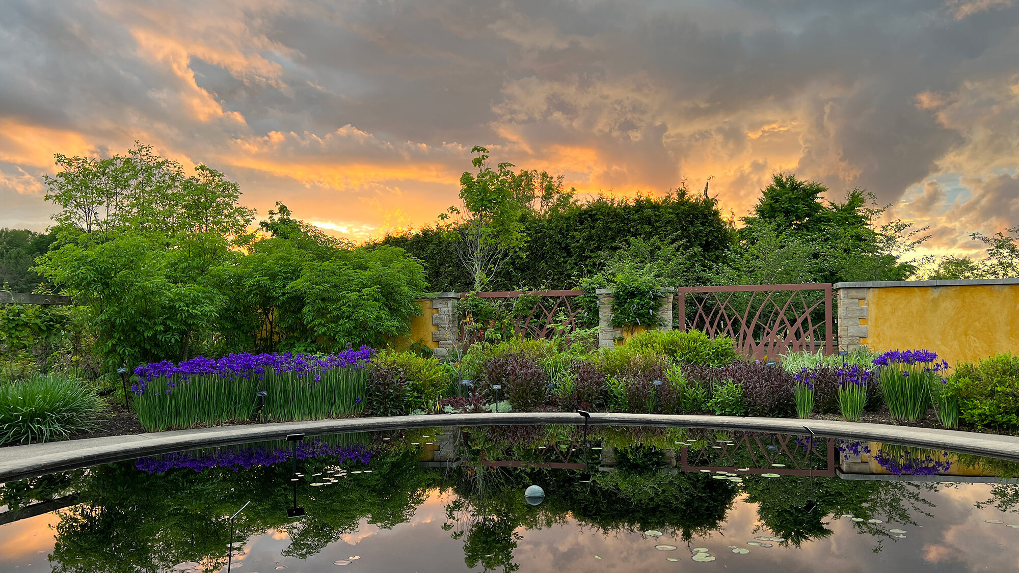 Cloudy, golden sunset over the gardens of the Arboretum at Penn State