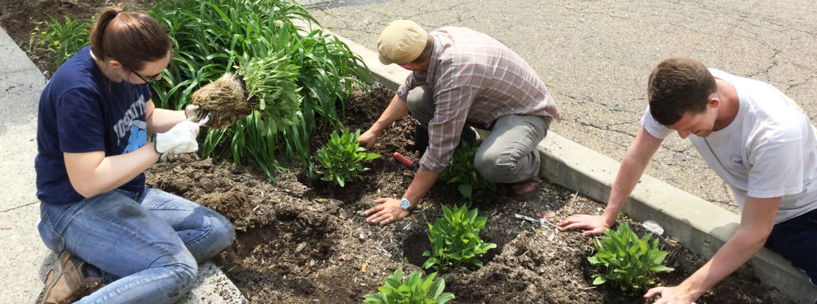 Three people working on landscaping