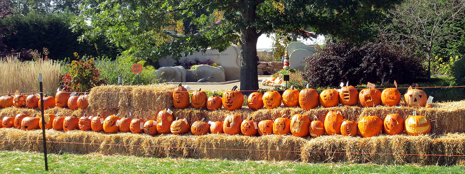 Carved pumpkins sit in a line on bales of straw